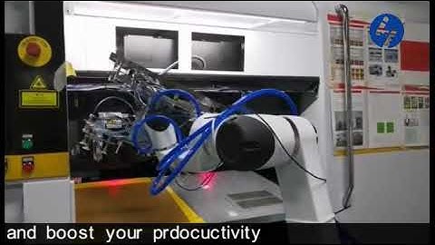 Elfin robots  pick and place