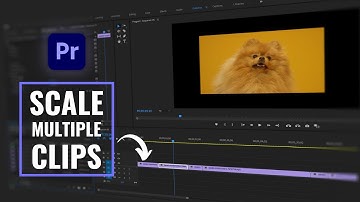 How To Scale Multiple Clips At Once | Adobe Premiere Pro Tutorial