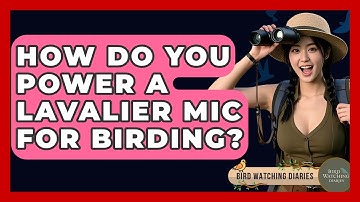 How Do You Power A Lavalier Mic For Birding? - Bird Watching Diaries