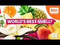 What Is the World&#39;s Best (and Worst) Smell?