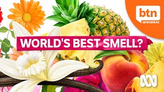 What Is the World's Best (and Worst) Smell?