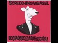 video - Screeching Weasel - Police Insanity