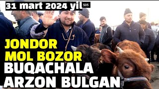 BUXORO JONDOR MOL BOZOR 31.03.2024/ BUQACHALA ARZON BULGAN ! NARXLAR TUSHGANMI?