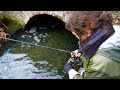 Exploring Small Streams - Multi Species Fishing!