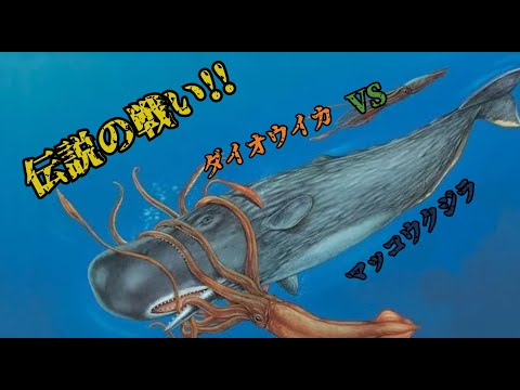 世紀の対決!!マッコウクジラVSダイオウイカを目撃せよ - YouTube
