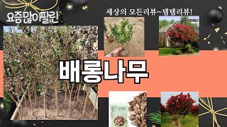가장 많이 팔린 배롱나무 추천 Top10!