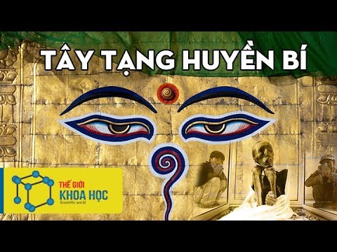 Video: Sự Tái Sinh Của Tháp Cánh Hoa