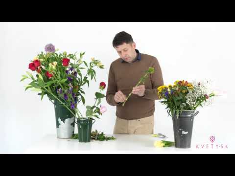 Video: Ako pestujete kvietok sasaniek?