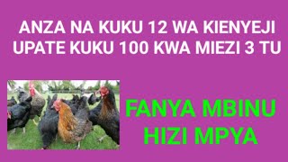 JINSI YA KUPATA KUKU 100 WA KIENYEJI KWA MIEZI 3 TU