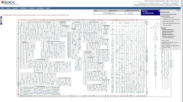BioCyc Intro 2020 Combined