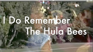 Hula Bees "I Do Remember"