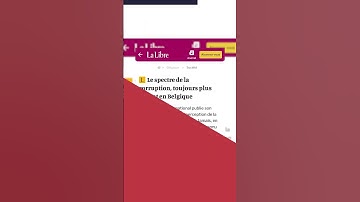 Press review | Not so spotless: corruption in France, Belgium, the Netherlands and beyond