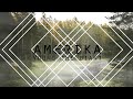 YOUNG THE GIANT - AMERIKA LYRICS