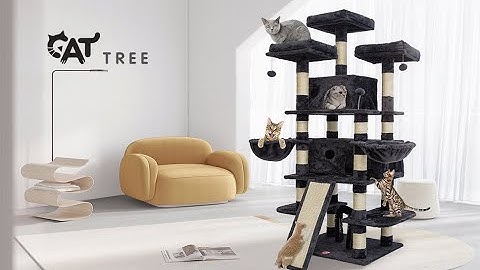 FOOWIN Large Cat Trees for Big Cats Assembly video