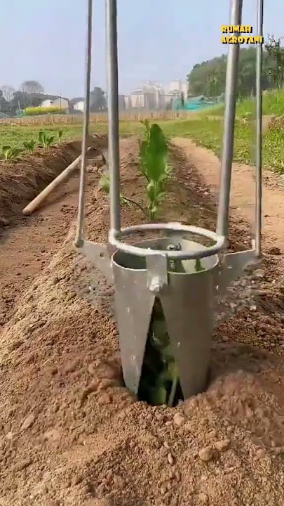 The Easiest Vegetable Planting Tools to Help Farmers