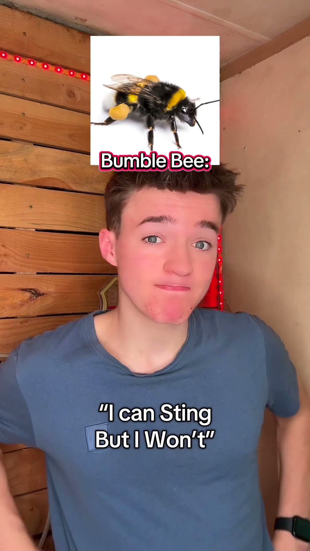 I can sting, and I will sting ?