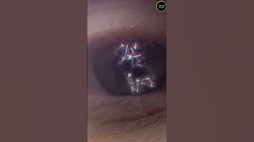 AI Powered Future-Microsoft Copilot