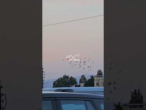 أنا من هون   يوم العلم عمان الاردن
