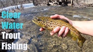AMAZING Fishing in ULTRA CLEAR Water!!! (FIRST TIGER TROUT?!)