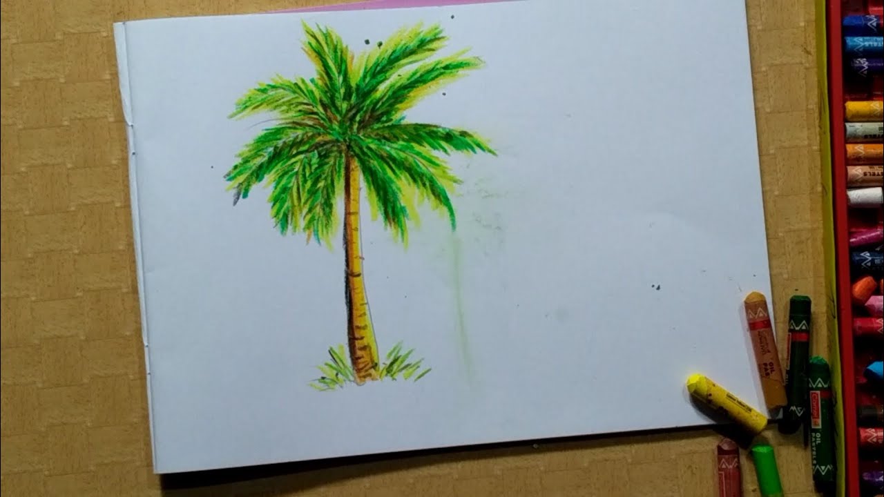 How to draw PALM TREE for Kids and beginners ll How to draw tree with oil Pastels. - YouTube