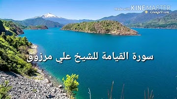 سورة القيامة للشيخ علي مرزوق