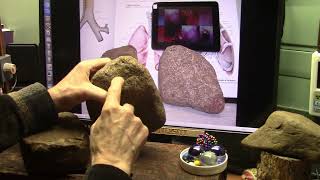 Mudfossils are Now Fully Proven and UNCONTESTED but Changes Most of What We Were Taught