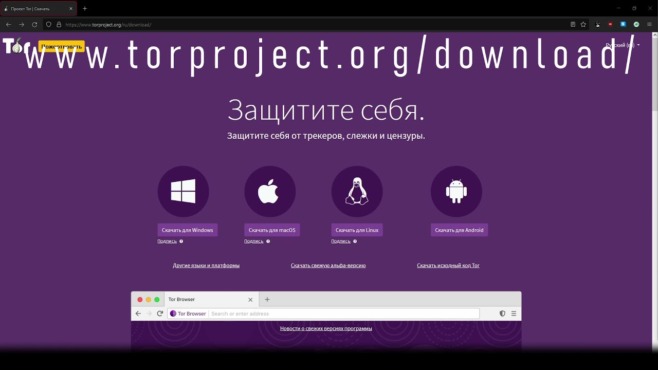 Tor browser настройка torrc mega2web браузер тор firefox mega2web
