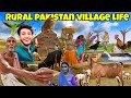 Pakistan village life  pakistan village life vlog