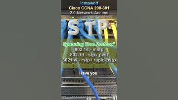 Cisco CCNA: What protocol prevents network loops? - icmpwolf #ccnaexam #ccna #freeccna