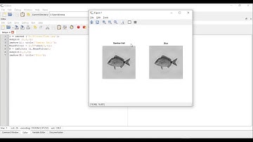 Tugas Pengolahan Citra Mean Filter