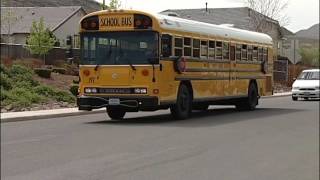 School Bus Safety For Kids Net Worth