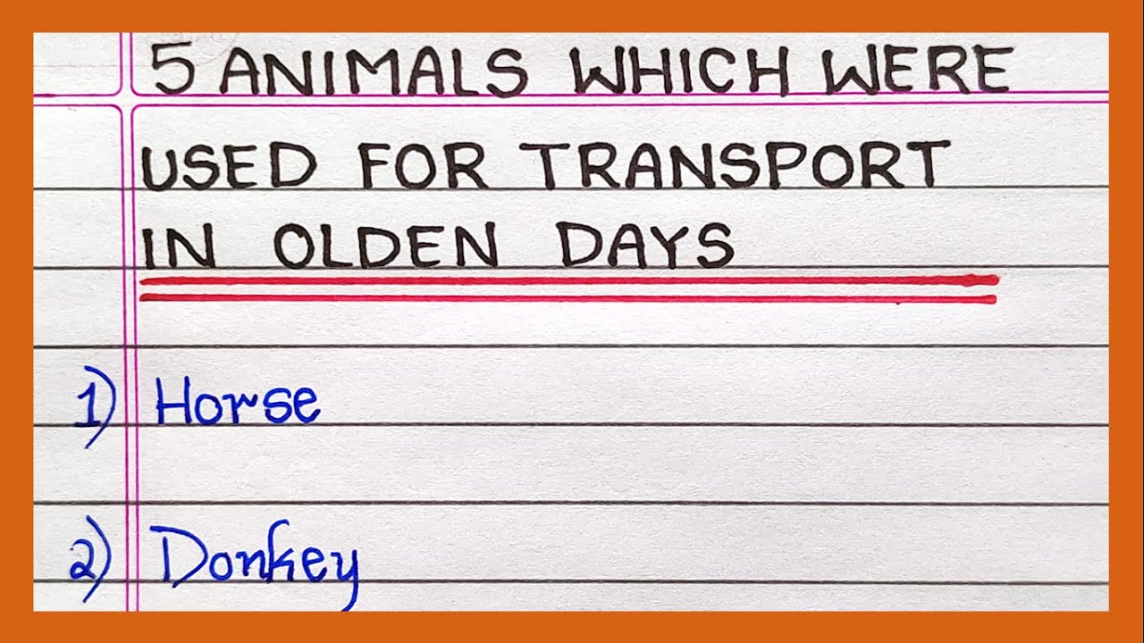 Name The Animals Which Were Used For Transport In Olden Days 5 Name The Animals Which Were Used For Transport In Olden Days 5