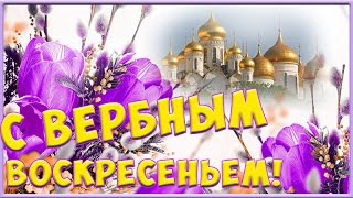 С вербным воскресеньем Вербное воскресенье  видео  открытка поздравление футаж