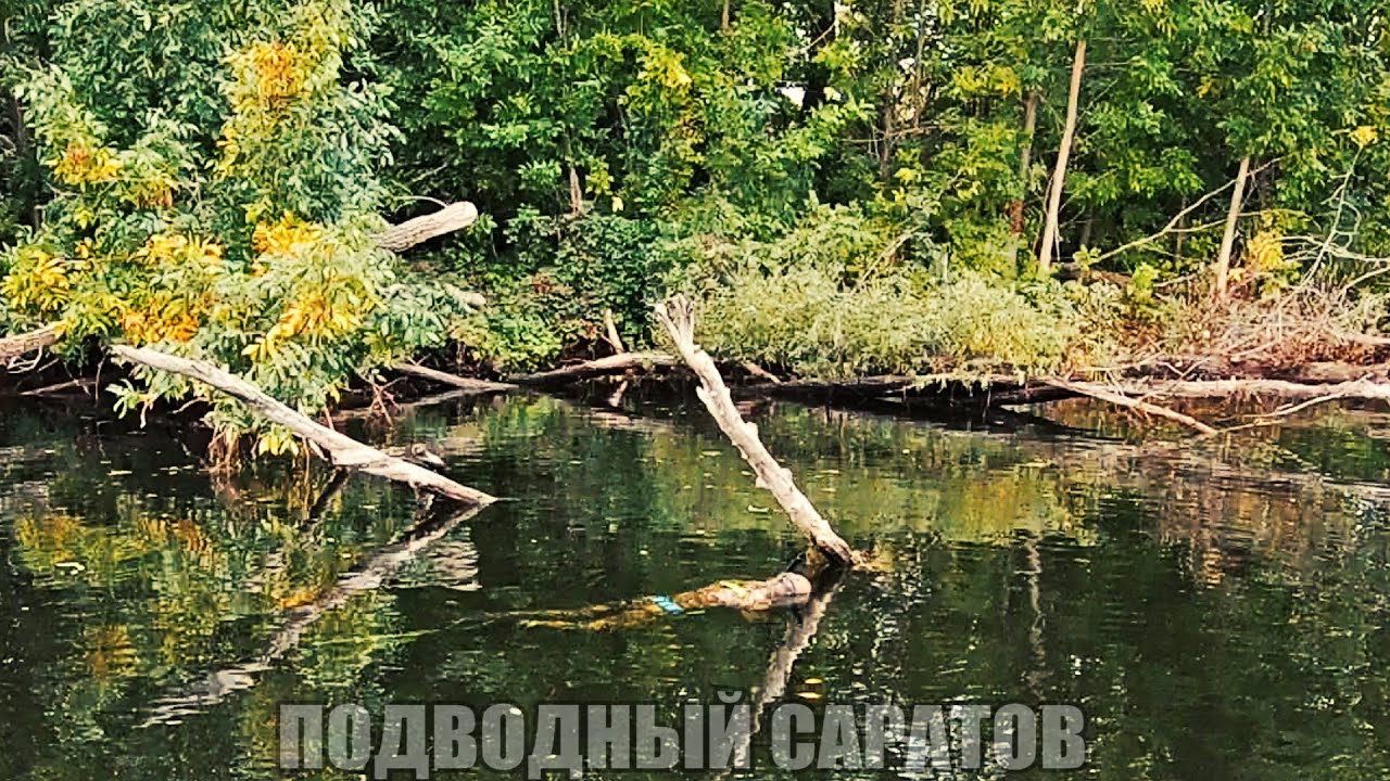 Вся рыба волги