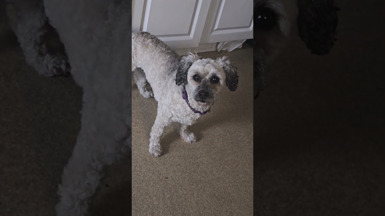 staring contest with my cutie 