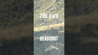Beautiful bullet trace on a head sized target at 780 yards
