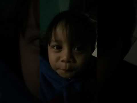 Suara kodok