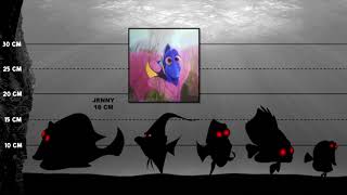 Finding Dory Size Comparison  Net Worth