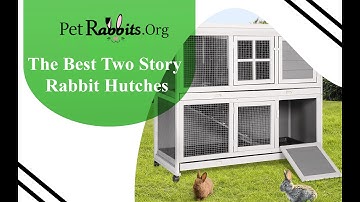 Two Story Rabbit Hutches - Pet Rabbits