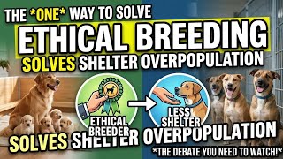 Can Ethical Breeding SAVE Dog Shelters? 🐶 (The Controversial Truth) #adoptors #dogmom #dogcancer