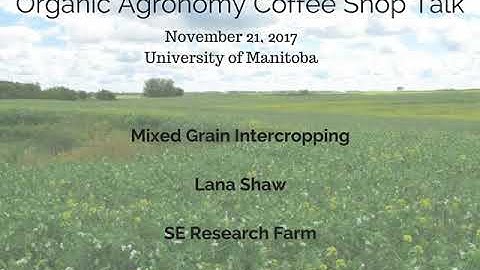 Lana Shaw - Mixed Grain Intercropping