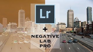 My Film Scanning Workflow | Negative Lab Pro screenshot 5