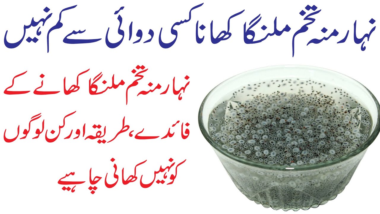 Tukh Malanga Nihar Mu Peene ke Fayde Benefits of Drinking Basil Seeds