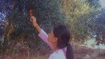 [ Chuyên đề Ngữ Văn ] Tác phẩm Chiếc Lược Ngà - Nhóm 4, lớp 10A5, Trường THPT Nhơn Trạch