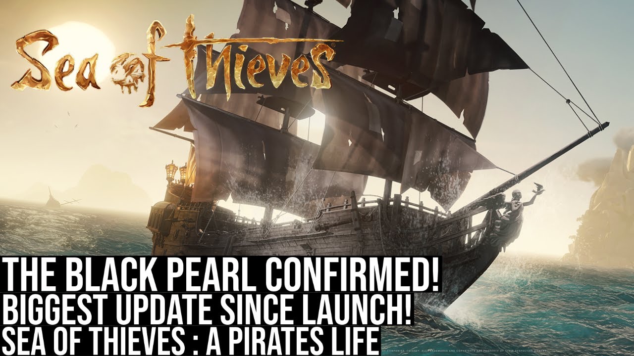 Skull and Bones confirms pets, like Sea of Thieves