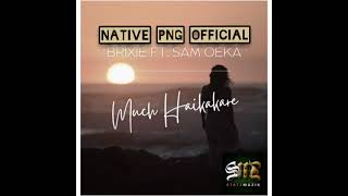 Much Haikakare 2023  brixie X Sam Oeka produced By Statz Mahn statz Production