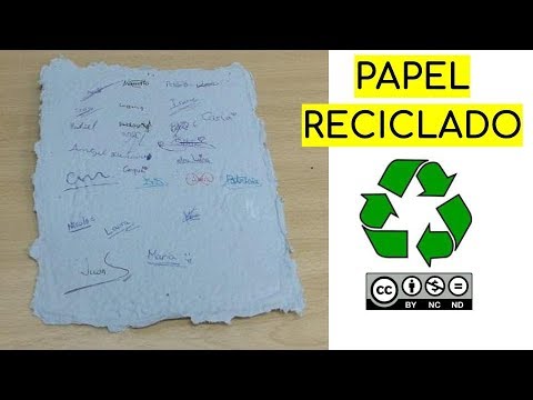 15 cosas que debes saber sobre el papel reciclado – ESCOLOFI