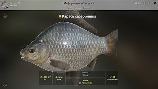 Русская рыбалка 4. Место ловли карася.Серебряный карась. Оз. Комариное. Тестим наживку. видео Карась серебряный