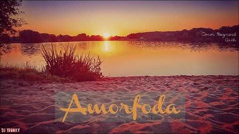 Bad Bunny - Amorfoda (English cover) DJ Tronky Bachata Remix