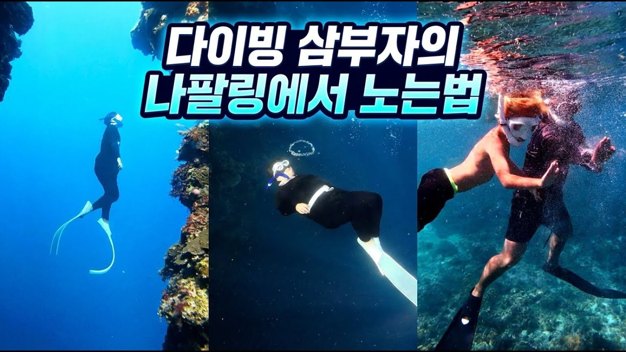 정어리가 가출해도 나팔링은 나팔링